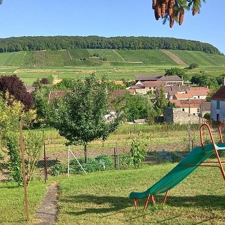 Gite Du Bel Air Festigny  Bagian luar foto