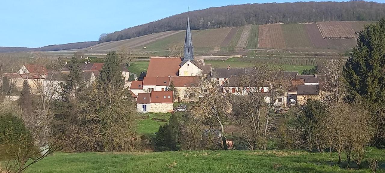 Gite Du Bel Air Festigny  Bagian luar foto
