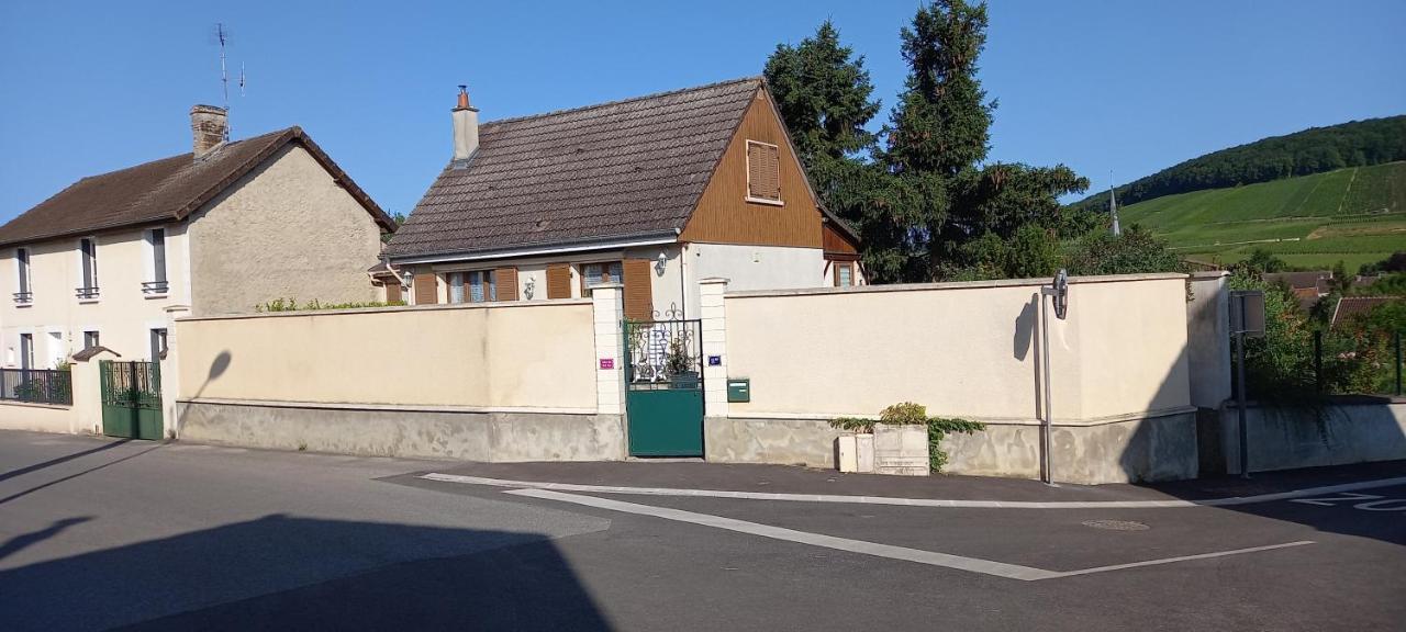 Gite Du Bel Air Festigny  Bagian luar foto